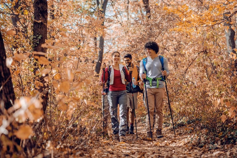 Wandern in der Natur mit Marina Kraus als Wander-Guide